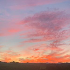 Meet your Posher, Natasha